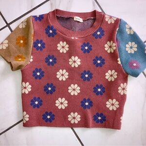 Debut super cute daisy crop knit top